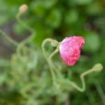 探索金赞国际官网:全面了解其服务与优势 h43g5yzo