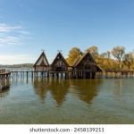 探索鸿博体育app的多样化功能与用户体验 qp6g9b4649