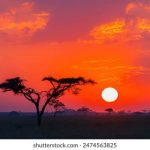 探索钱柜平台的多样化娱乐选择与盈利机会 r6e5556